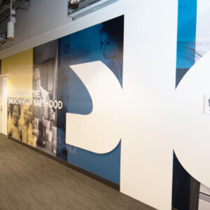 Dimensional Elements